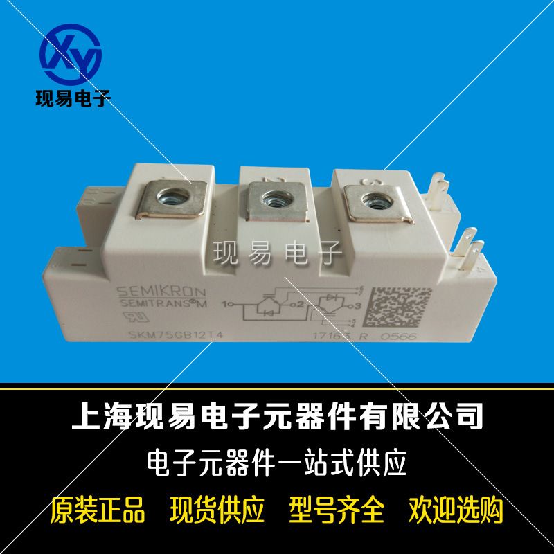 SKM50GB12T4 SKM50GB123D SKM50GB12V德國西門康功率IGBT模塊現(xiàn)貨