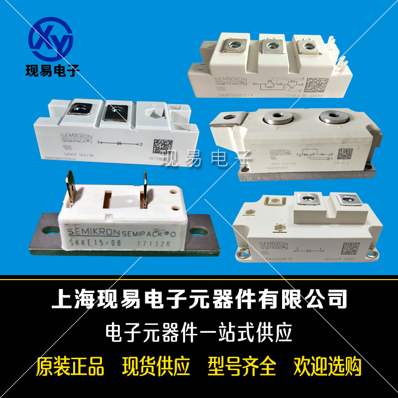 SKKQ1500/12E SKKQ1500/16E德國原裝SEMIKRON西門康可控硅模塊
