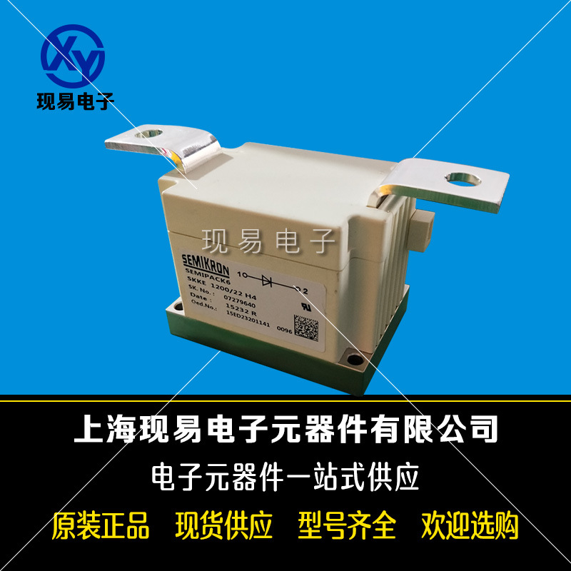 SKKE1201/22全新德國SEMIKRON西門康原裝二極管現(xiàn)貨直銷