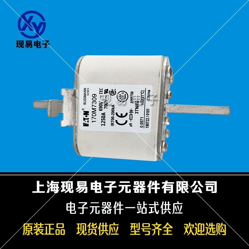 170M8633 170M8634 170M8635 170M8636巴斯曼功率電源模塊原裝