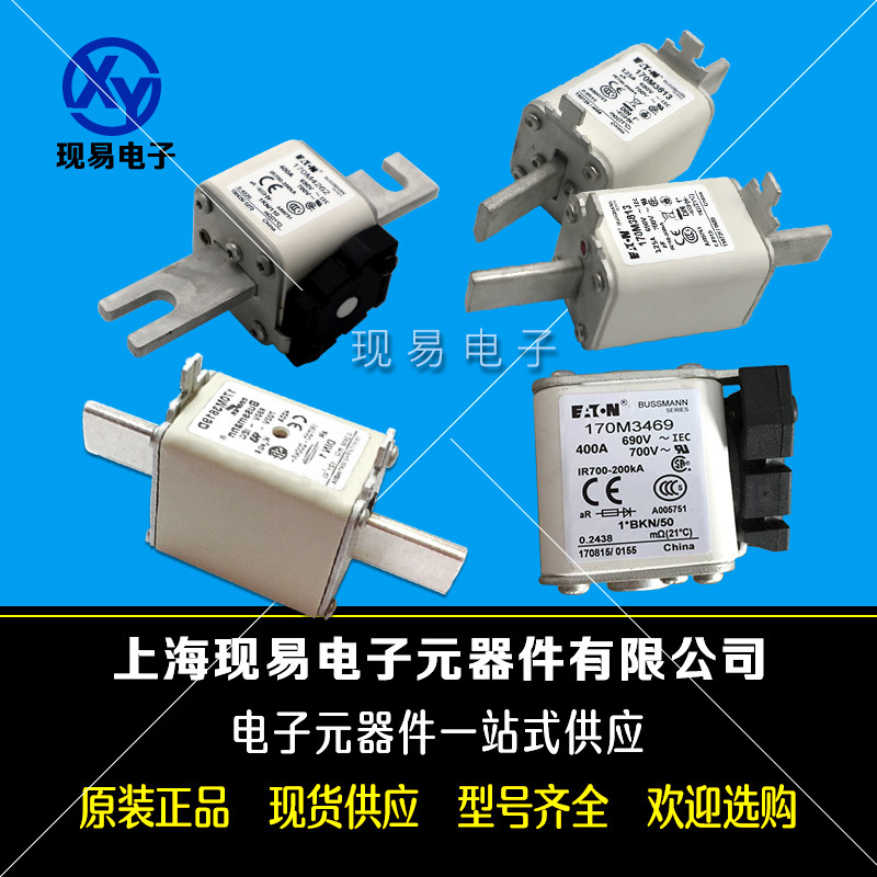伊頓巴斯曼熔斷器170M6162 170M6163 170M6164 170M6165 170M6166
