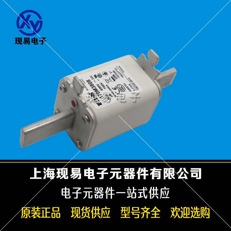 170M3808 170M3809 170M3810 170M3811全新巴斯曼熔斷器原裝現(xiàn)貨