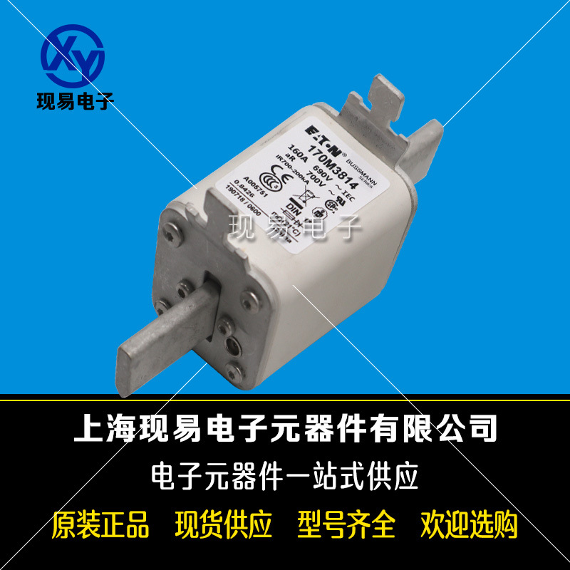 170M3988 170M3989 170M3990 170M3991全新巴斯曼熔斷器原裝現貨