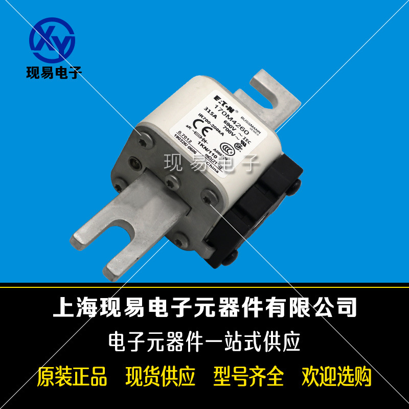 170M6262 170M6263 170M6264 170M6265 170M6266巴斯曼熔斷器原裝