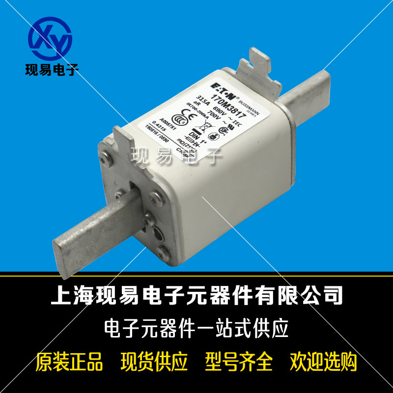 170M3984 170M3985 170M3986 170M3987全新巴斯曼熔斷器原裝現貨